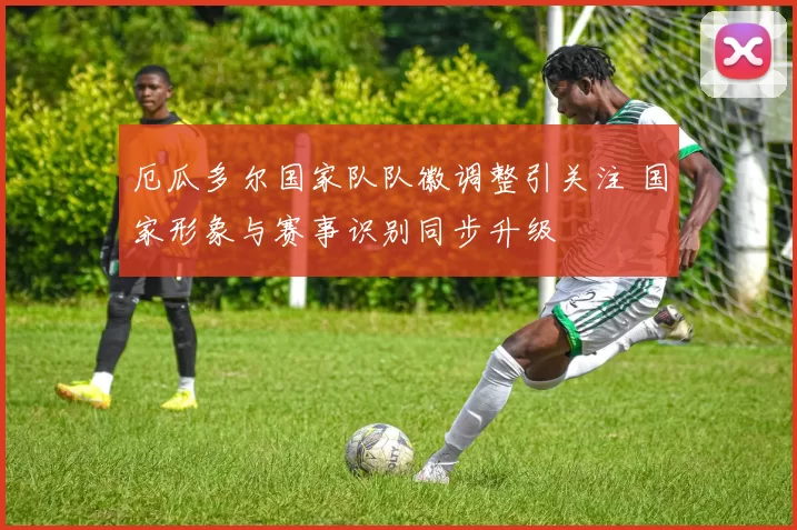 厄瓜多尔国家队队徽调整引关注 国家形象与赛事识别同步升级