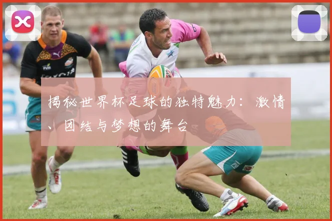 揭秘世界杯足球的独特魅力：激情、团结与梦想的舞台