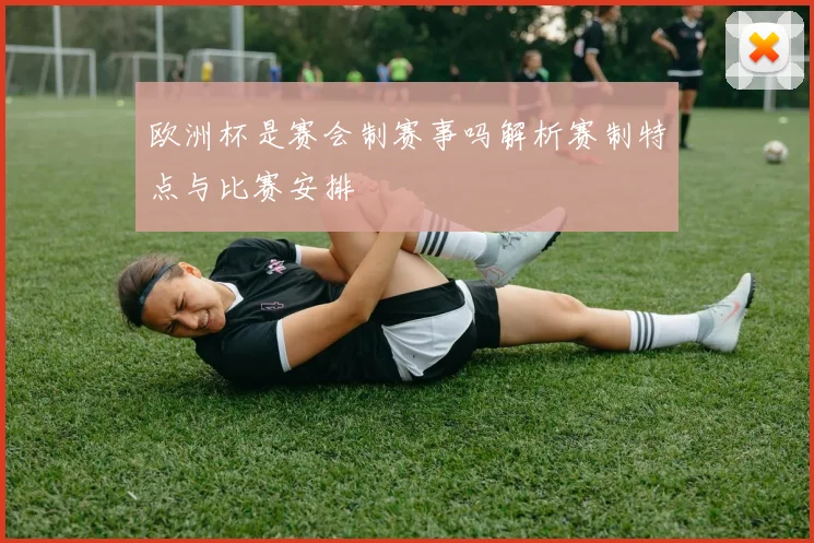 欧洲杯是赛会制赛事吗解析赛制特点与比赛安排