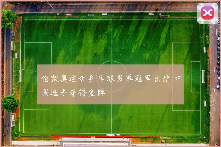 伦敦奥运会乒乓球男单冠军出炉 中国选手夺得金牌