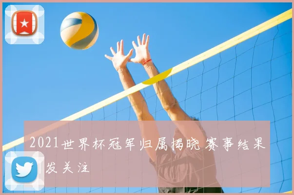 2021世界杯冠军归属揭晓 赛事结果引发关注