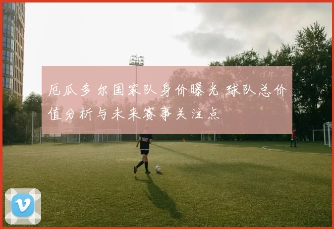 厄瓜多尔国家队身价曝光 球队总价值分析与未来赛事关注点